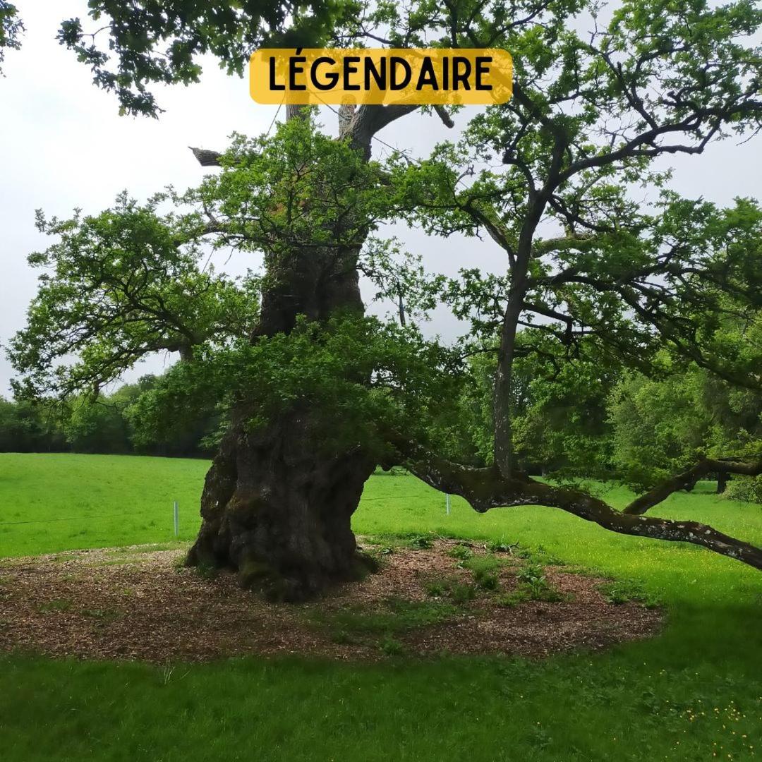Camping Le Val Aux Fees - Broceliande Concoret Екстер'єр фото